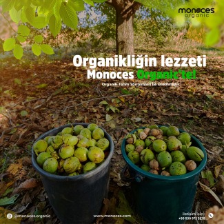 Yerel Üreticilerle Desteklenen Bir Marka: Monoces Organic