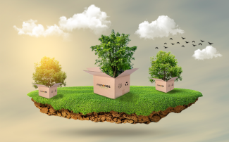 Organik Beslenmenin Sağlığımıza Katkıları